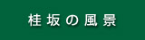 �j��̕��i
