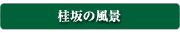 �j��̕��i