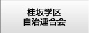 �j��w�掩���A����